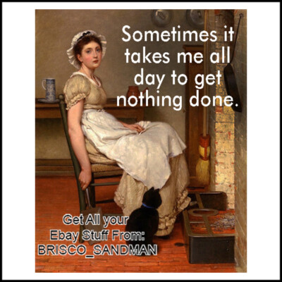 Fridge Fun Refrigerator Magnet ''IT TAKES ME ALL DAY TO GET NOTHING DONE''