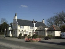 PHOTO  GRIFFINS HEAD  2013