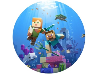 Minecraft Tortenaufleger Minecraft  Tortenbild Minecraft  Geburtstag Name Zahl