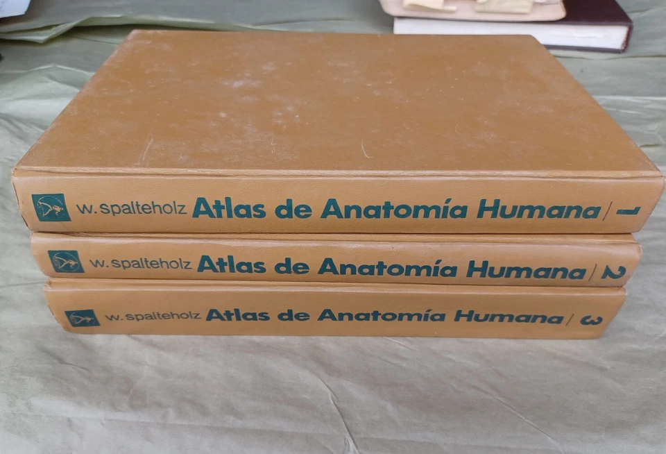 Atlas De Anatomia Humana by W. Spalteholz Volumes 1-3 Spanish 1973 Sixth Edition - Image 3 of 4