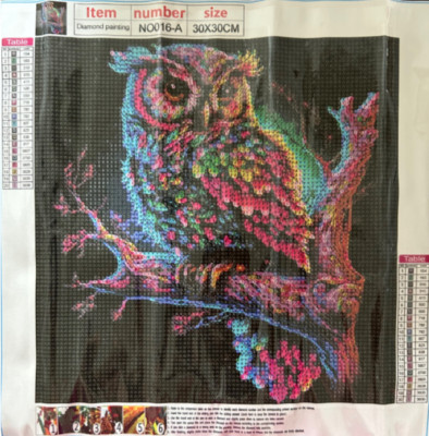 Diamond Painting Set DIY 30 x 30 cm Eule bunt Uhu Fantasy Nacht runde Diamanten