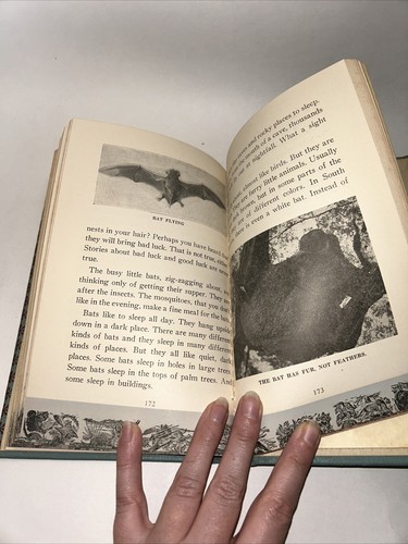 Texas the Golden Land Virginia May Moffitt Ex Library Hc Texas—- 1950 History - Imagen 13 de 14