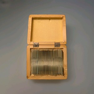 AmScope 25 Prepared Microscope Slides with Wooden Box Plants / Insect / Animal
