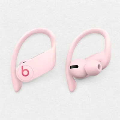 Beats by Dr. Dre Powerbeats Pro Totally Wireless Earphones