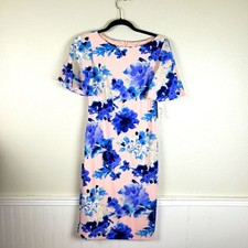 Women's NWT Eliza J Baby Pink Blue Floral Ruffle Sleeved Midi Dress Size 04/SM