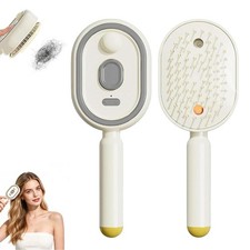 2026 New Electric Steam Brush, Electric Steam Brushs for Hair, Rechargeable