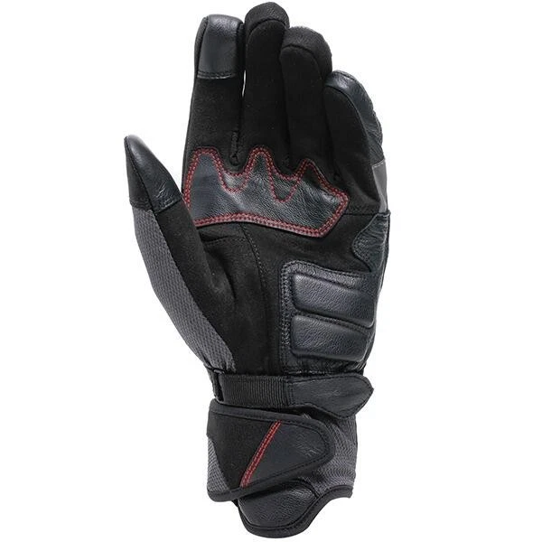 Dainese Teyde Gore-Tex 97L Black Grey Red, photo 2 of 5