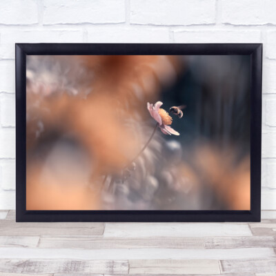 A Kiss Bee with Nature close up flower Wandkunstdruck
