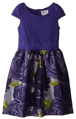 Dew Drop Lace Brocade Dress
