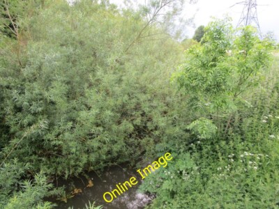Foto 6x4 Der Fluss Torne Littleworth\/SK6298 kaum sichtbar unter allen c2014