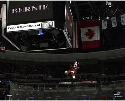 Bernie the St. Bernard Avalanche Pregame Rappelling Entrance 16x20 Photo