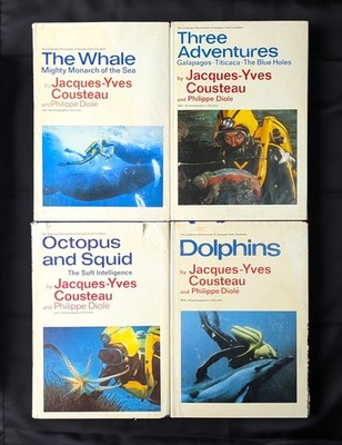 Jacques The Octopus Goes On A Quest.: Children's Fiction & Literature