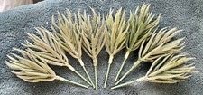 LOT OF 8 FAUX GRAY/GREEN FLOCKED SUCCULENT FLOWER PICKS  11