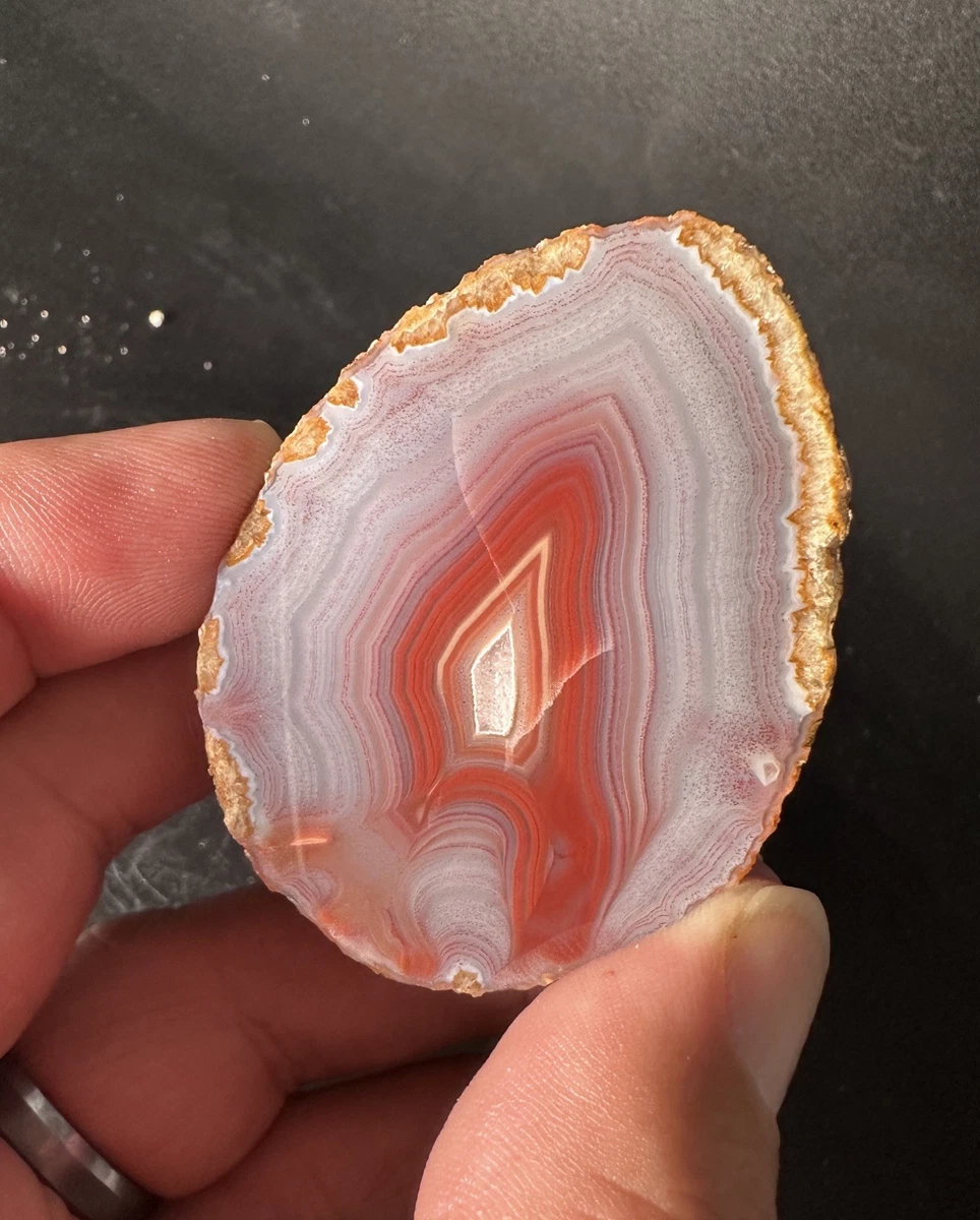 25+ Condor Agate for sale | Updated Oct 2026