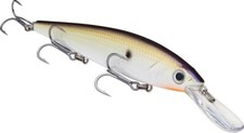 Strike King KVD 300D Series 4 1/2 inch Deep Diving Jerkbait