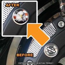 Brembo Front Brake Caliper Insert Set For Harley - Usa Flag Eagle - 143 Brembo Front Brake Caliper Insert Set For Harley - Usa Flag Eagle - 143