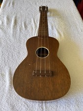 Silver Tone Ukulele Instrument