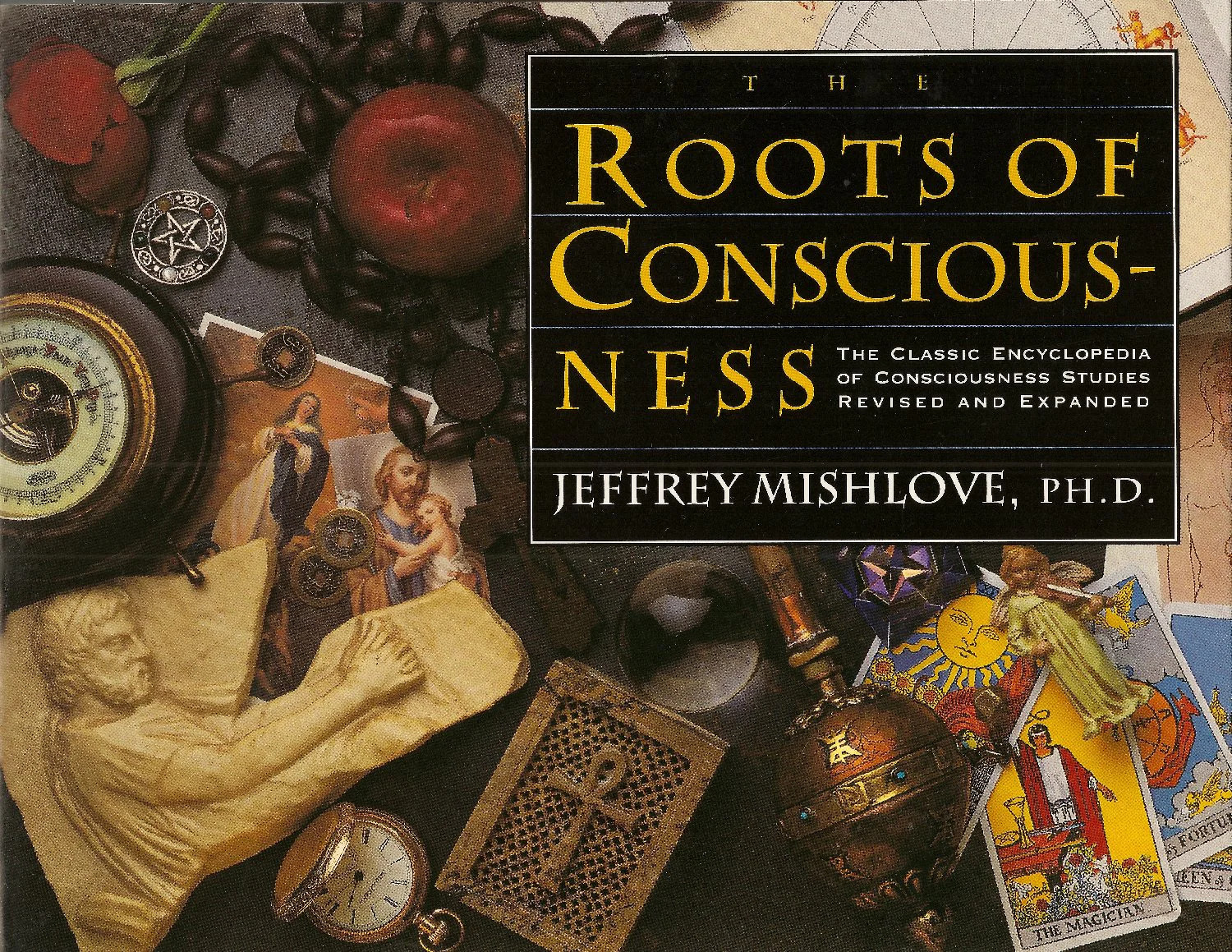 The Roots of Consciousness