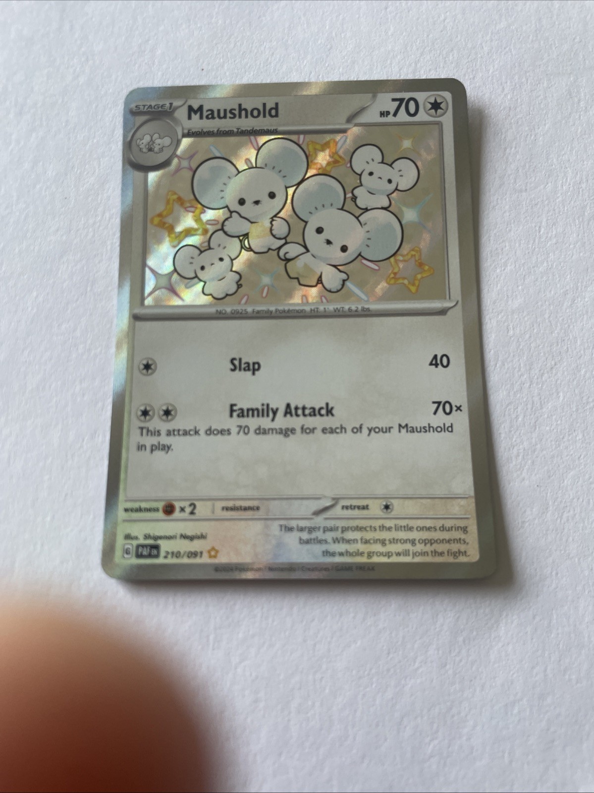 Maushold Shiny Rare SV Paldean Fates Card 210/091 Pokemon TCG near mint holo