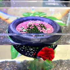 2 Pcs Black Floating Betta Hammocks Large Small Fish Hide Leaf
