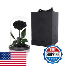 Perfectione Roses Preserved Roses Black Roses In Glass Dome Medium Preserved