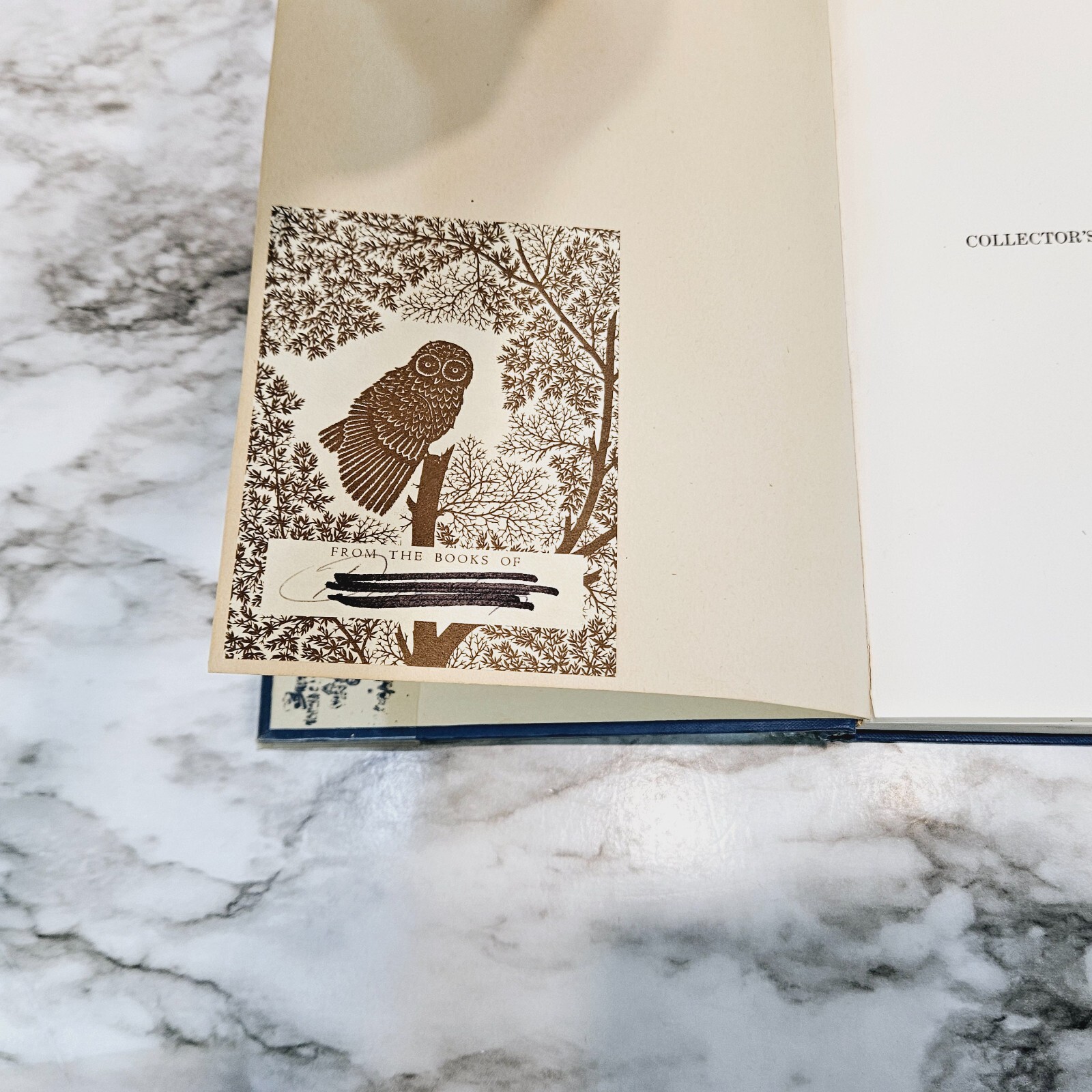 Collector's Luck In France (1924) In England (1926) Alice Van Leer Carrich Lot 2