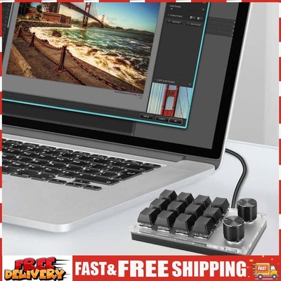 12 Key 2 Knob Programming Macro Custom Knob Keyboard Hotswap for Office Gaming S