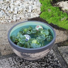 Shigaraki Ware Size 11 Textured Water Bowl for Goldfish/Medaka