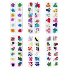 Dried Flowers for Resin Craft Nail Art Mix Small Mini Dry Flowers Pack of 6 ...