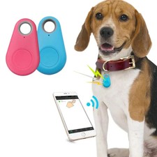 Localizzatore Bluetooth GPS Anti Smarrimento per Cani Gatti Chiavi Borsa