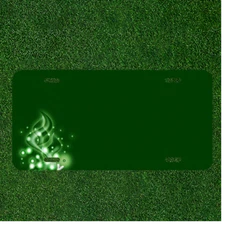 Custom Personalized License Plate Auto Tag With Green Design Add Names