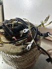 Foto 2 di 4