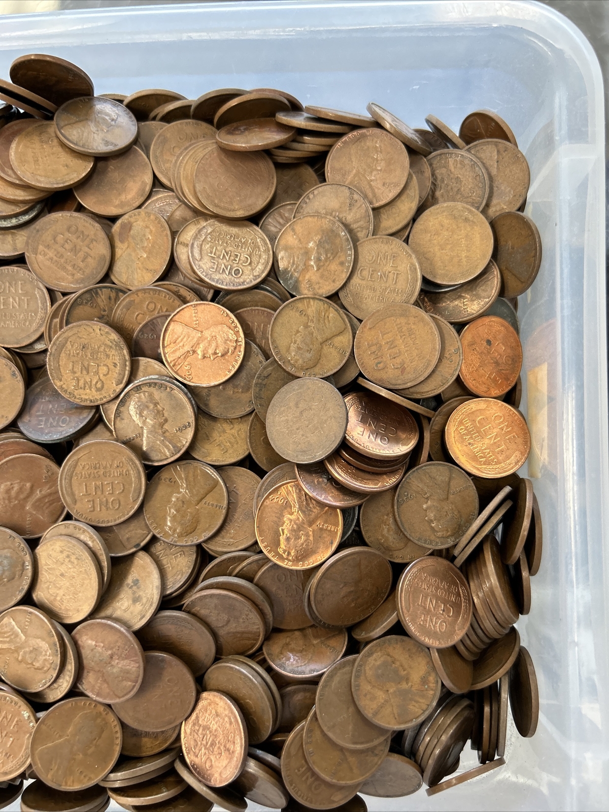 Bag of 5000 1909 1958 Wheat Cents Unsearched Coin Shop Hoard 9 eBay