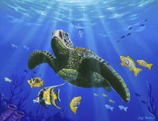Ceramic Backsplash Tile Mural Sea Turtle Sea Ocean Life - Hawaiian Turtle