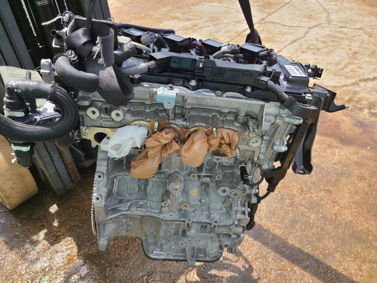 Picture 4
