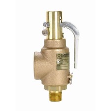 Apollo 29202A125 1/2" NPT Power Steam Valve 125# Replacement