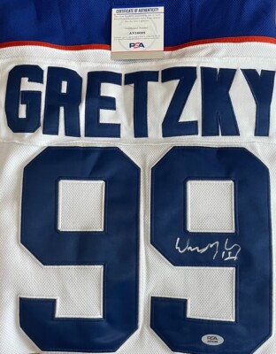 その他 2001 Wayne Gretzky JERSEY CARD My favorite card I pulled as a kid 20 odd years ago. Playoff
