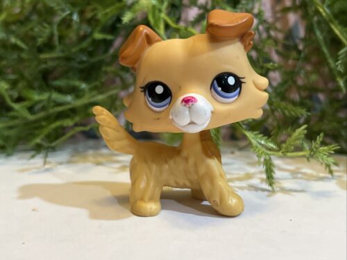Littlest Pet Shop 2452 LPS Authentic Blind Bag Yellow Collie Dog Blue Eyes - Picture 2 of 8