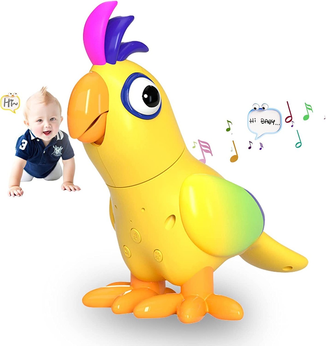 Toy Speaking Parrots Wow Blog