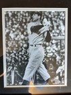 One Of A Kind Rare Joe DiMaggio Photo  Certificate Of Authenticity  — photo 3