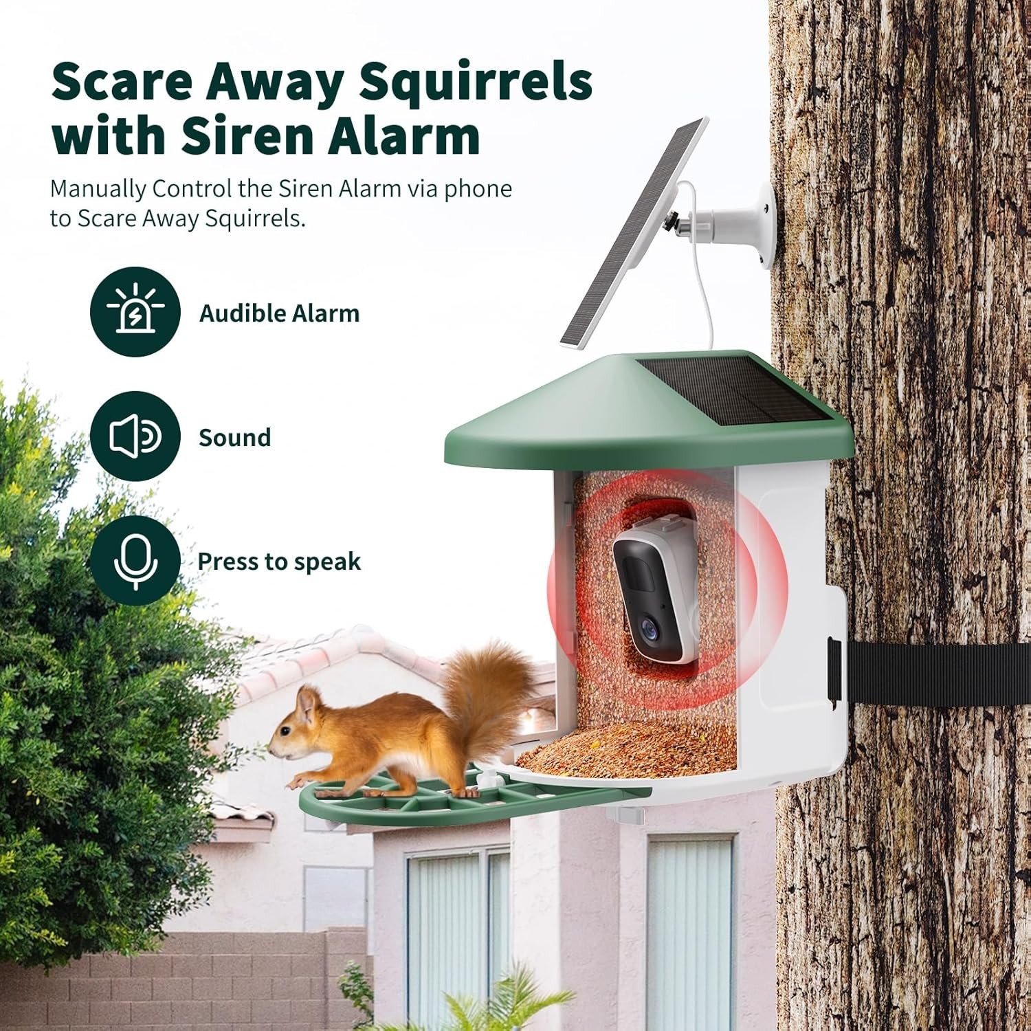 Smart Bird Feeder with AI Identify Birds - Green
