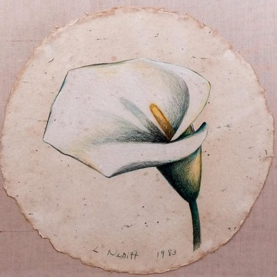 ''White Calla Lily'' Lowell Nesbitt, Modernist Floral Still Life