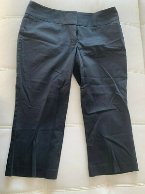 Express Design Studio Editor Size 10 Women's Cropped Capri Dress Pants Trousers