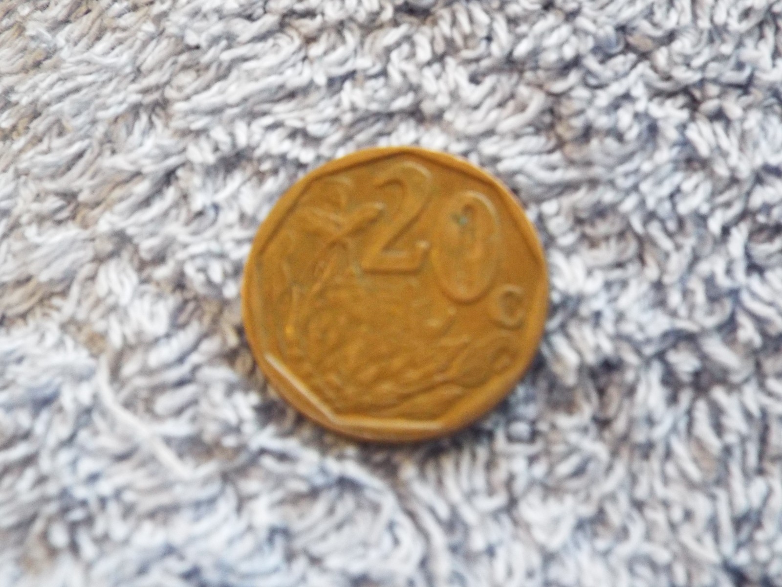 Foto 2 di 2