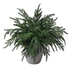 10PCS Christmas Norfolk Pine Stems, Real Touch 15 Inch Artificial Norfolk Green