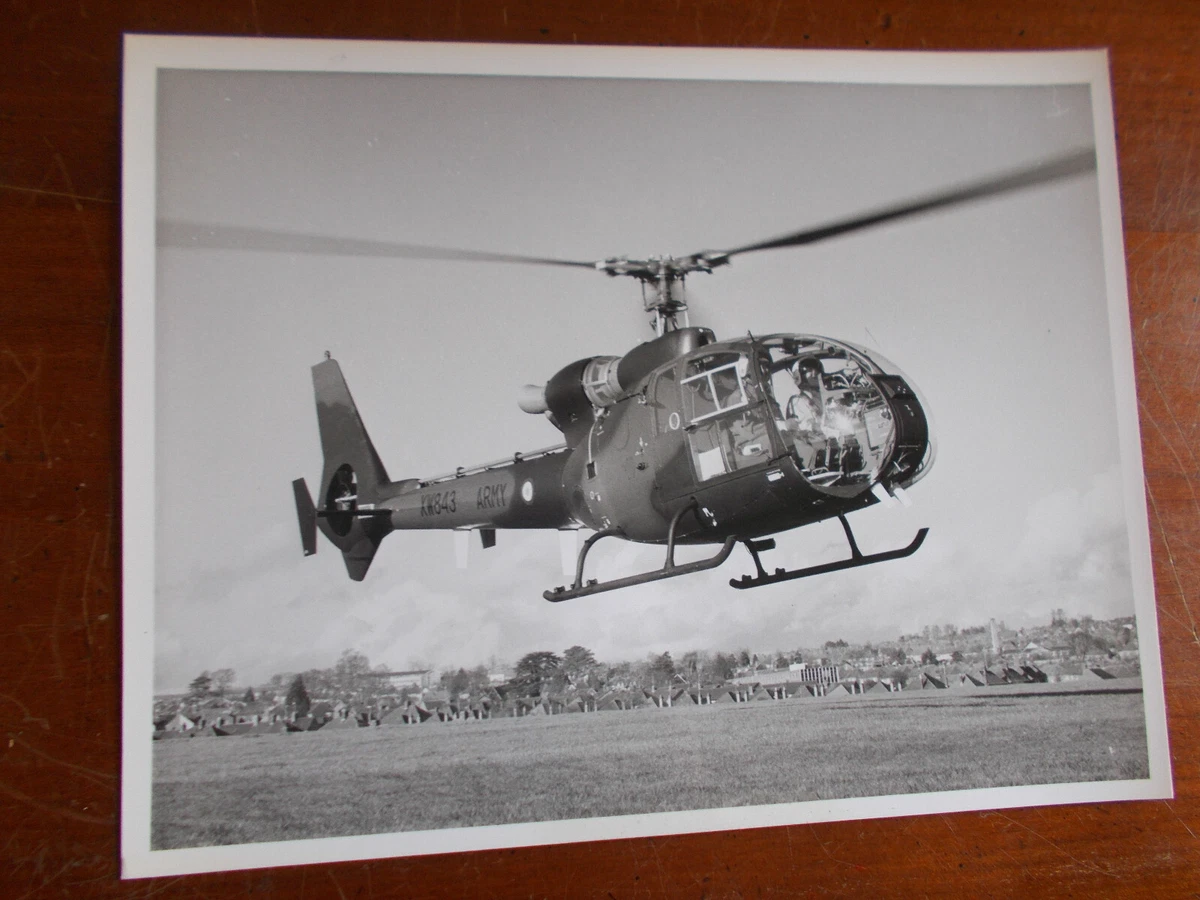 Gazelle 1 sale