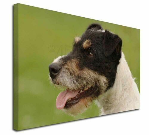 Leonardo Dogs In Jack Russell Terrier Collectables For Sale - Foto 10