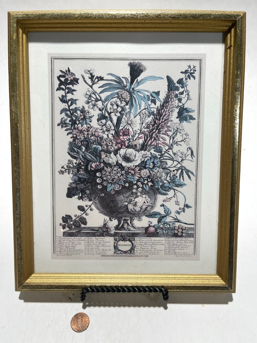 Robert Furber Pieter Casteels Windsor Decor Flowers Framed Picture