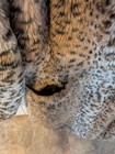 POP SUGAR Plush Leopard Print Jacket Women's Coat Fall Winter LARGE — photo 5