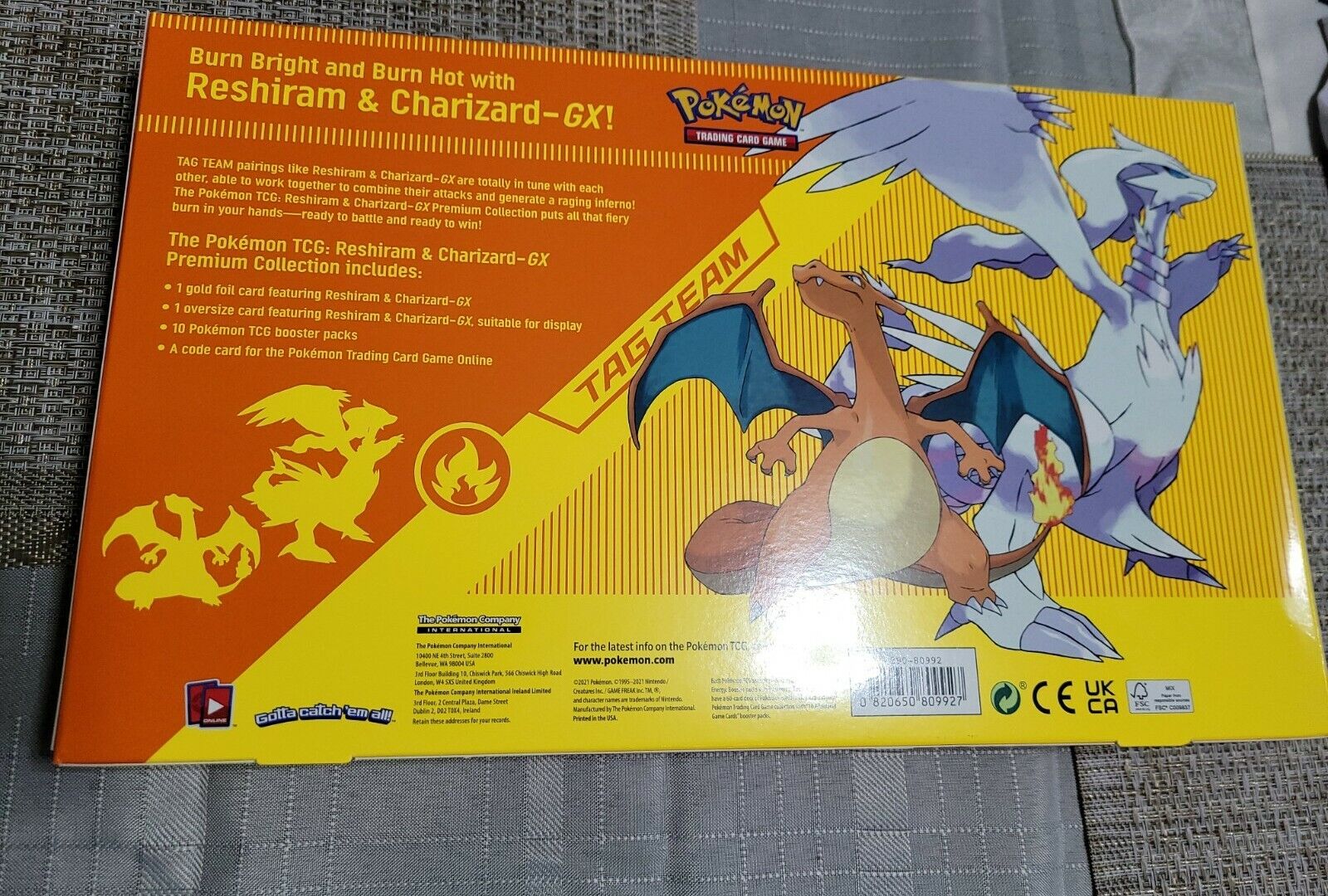 Box Pokémon - Reshiram e Charizard GX Aliados - PlayGround Game Store